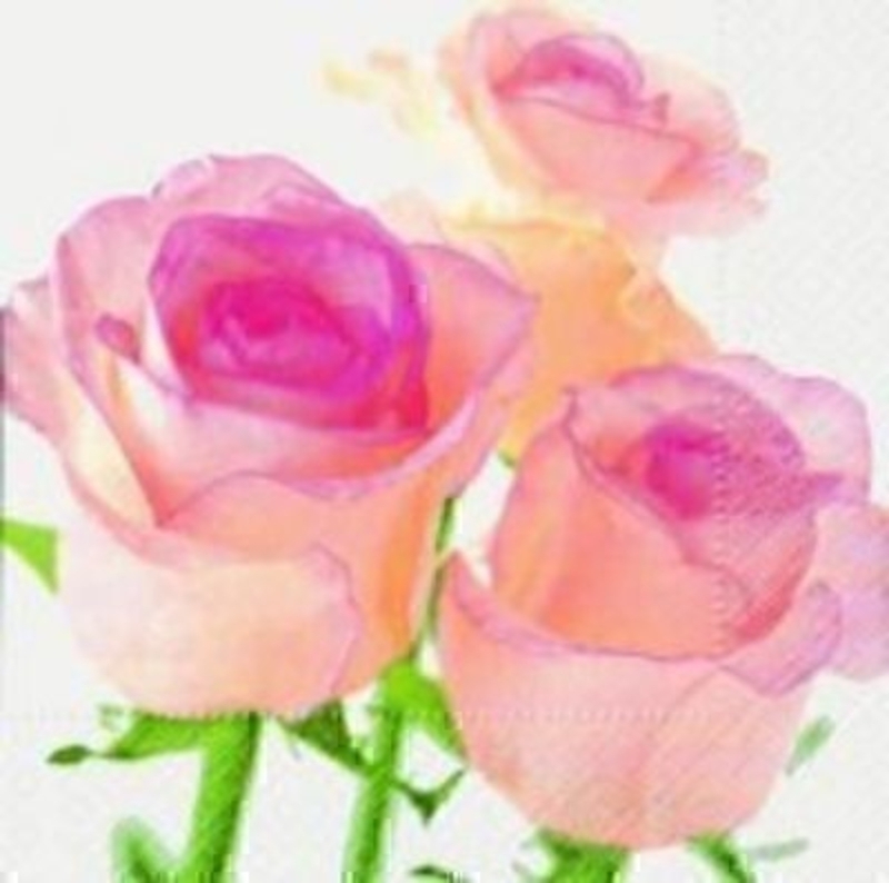 Pink Rose Napkin Pink Rose design napkin. 20 napkins in pack. 3 ply. 33x33cm. Environmentally friendly cellulose printed with water-based inks.